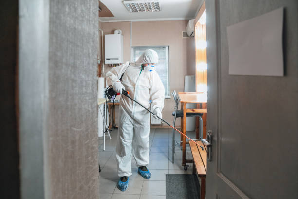 Best Air Quality Testing for Mold Spores  in Elmwood Park, NJ