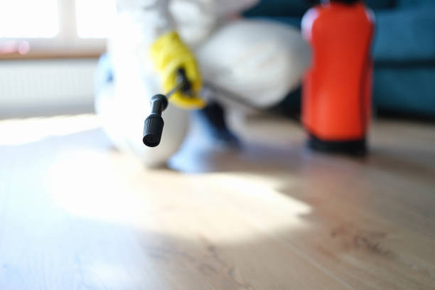 Best Mold Documentation for Insurance Claims  in Elmwood Park, NJ